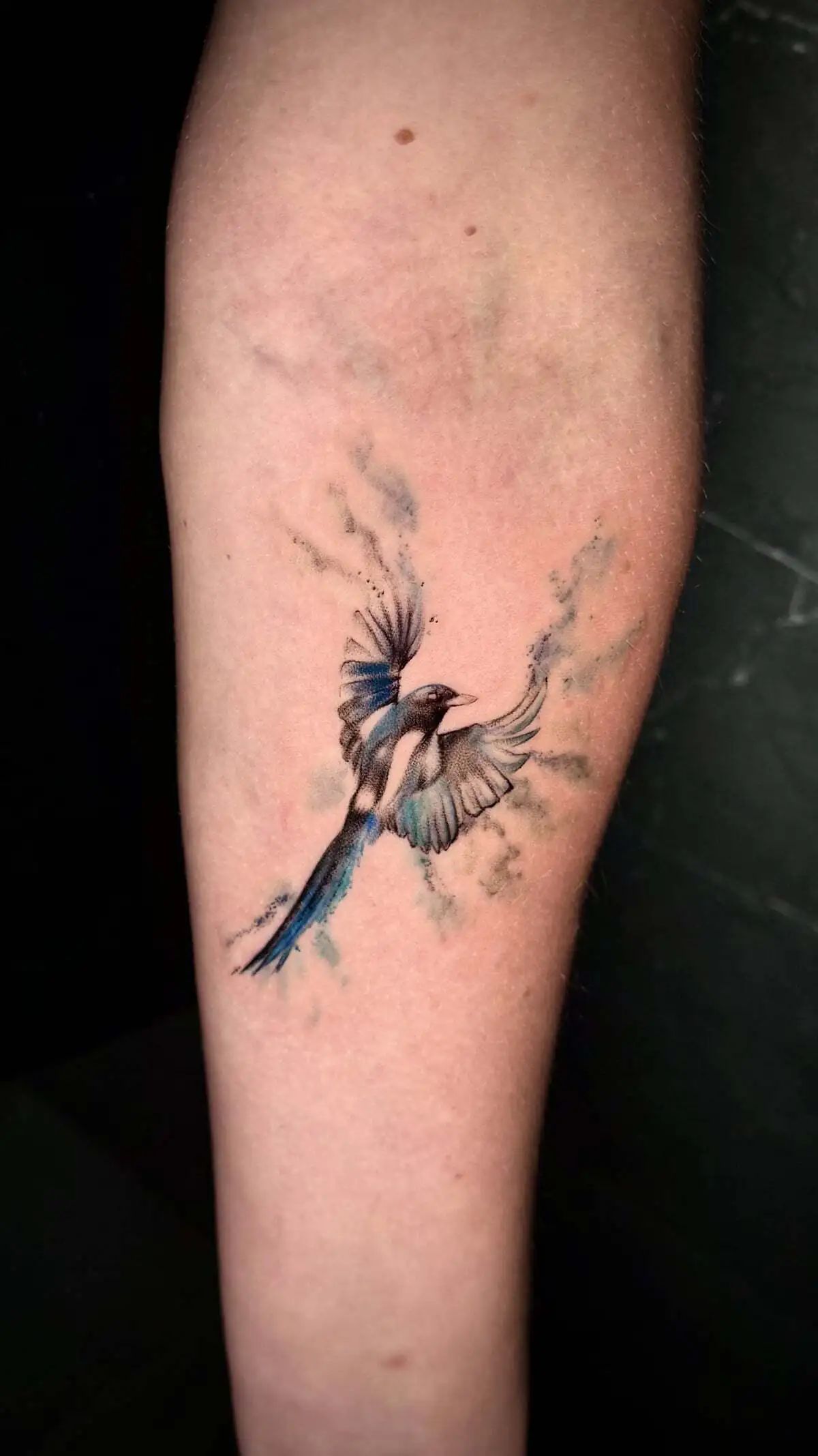 magpie bird watercolor forearm tattoo