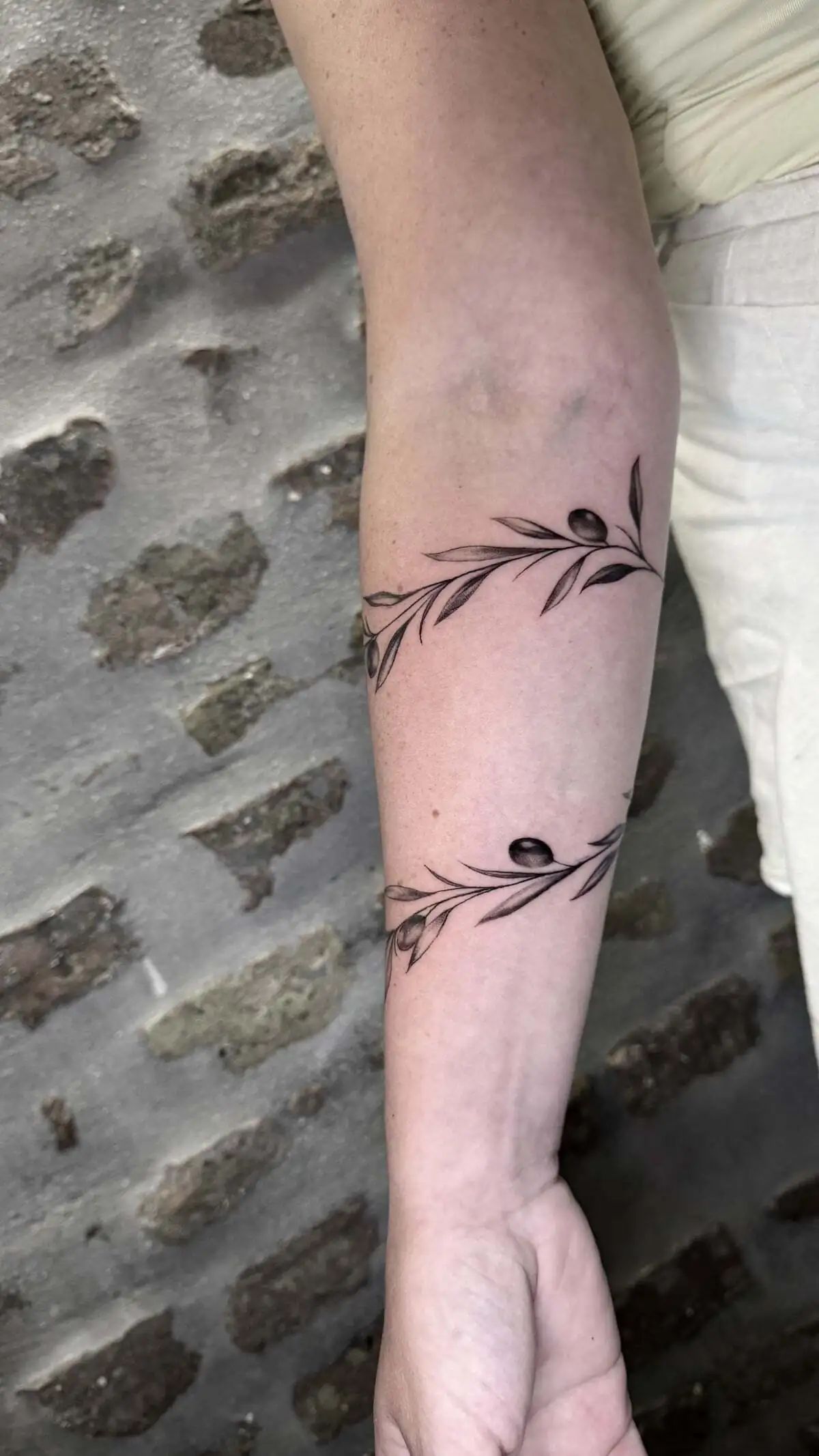 olive branch band fine line forearm tattoo