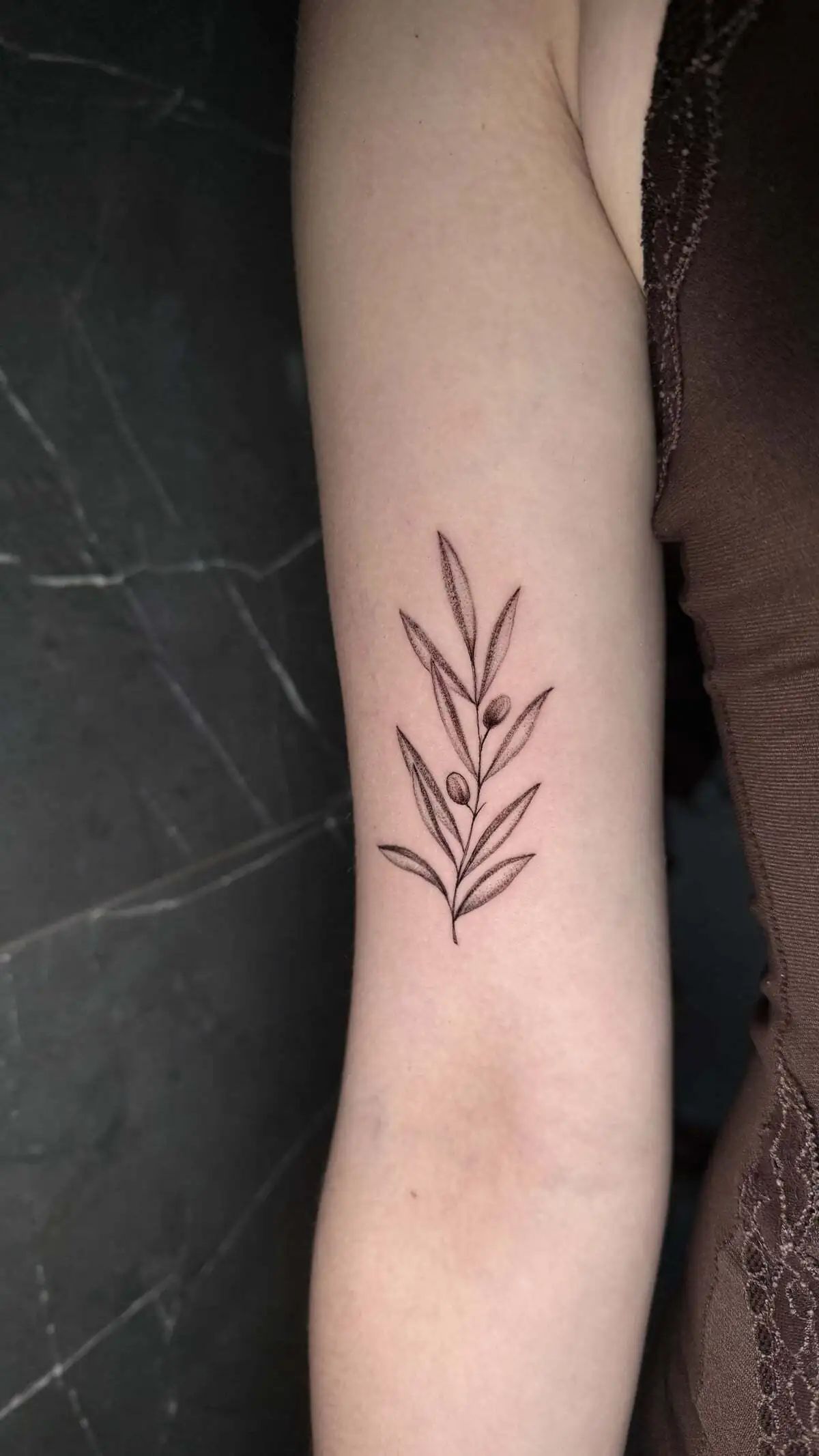 olive branch fine line forearm tattoo