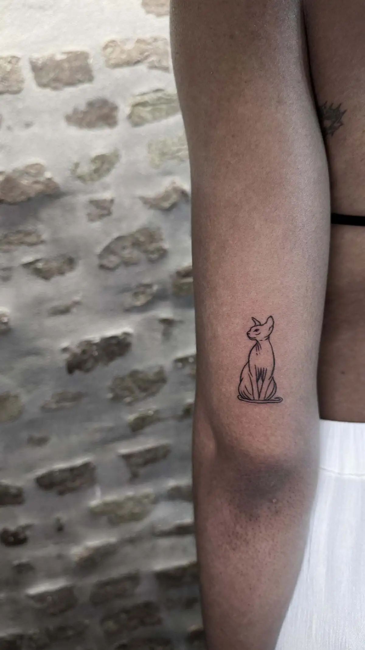 minimal sitting cat fine line arm tattoo