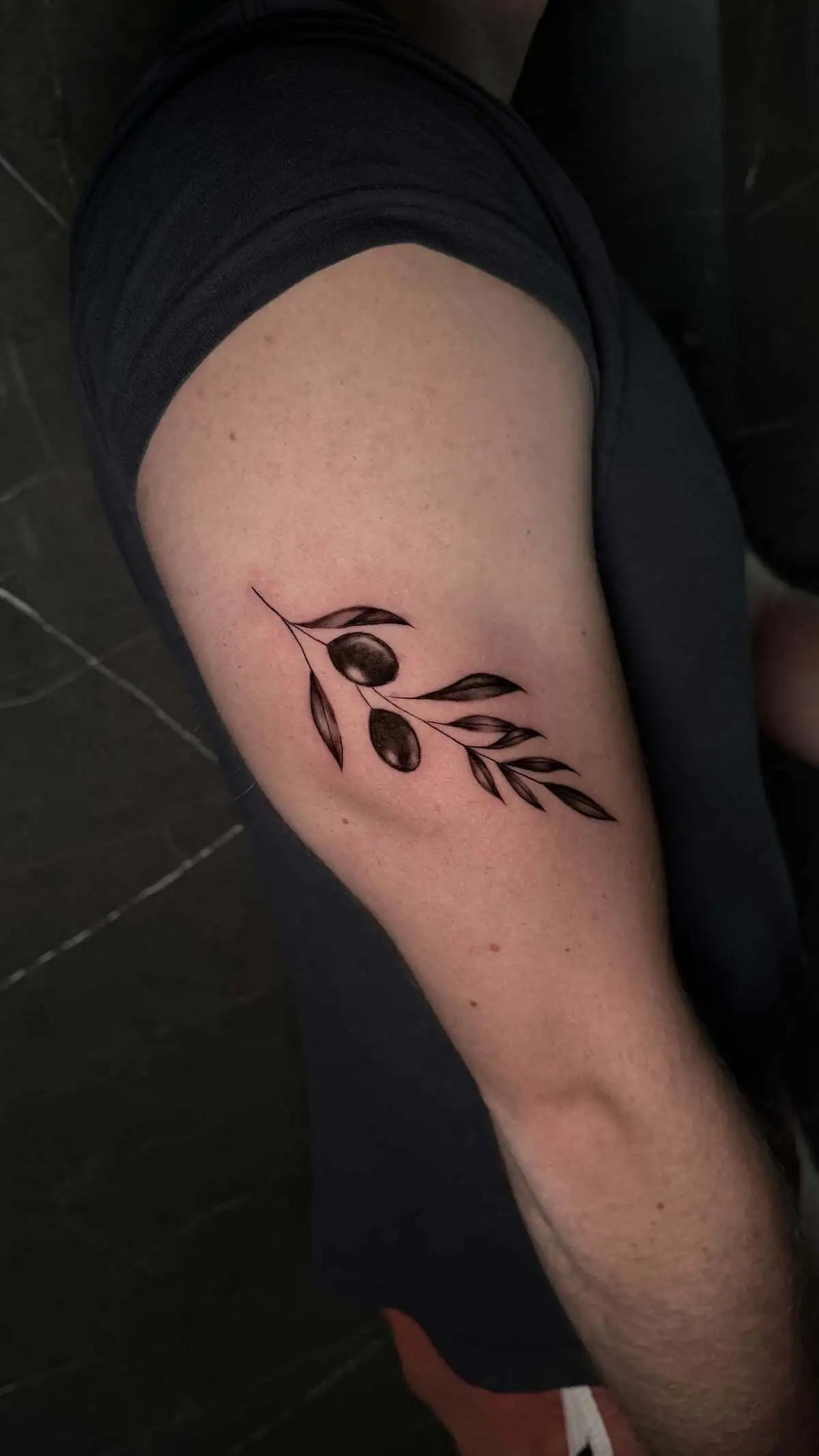 olive branch micro realism upper arm tattoo